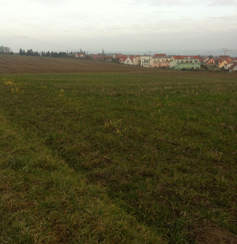 Wülflingen